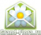 Логотип компании Доставка цветов Гранд Флора (ф-л г.Пущино)
